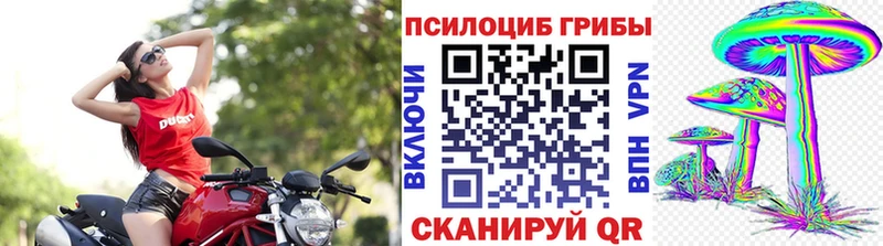 Галлюциногенные грибы ЛСД  Белая Холуница 
